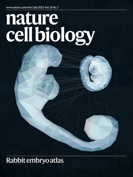 Nature Cell Biology.Volume 25 Issue 7, July 2023. Image: Daniel Keitley. Cover Design: Lauren Heslop.